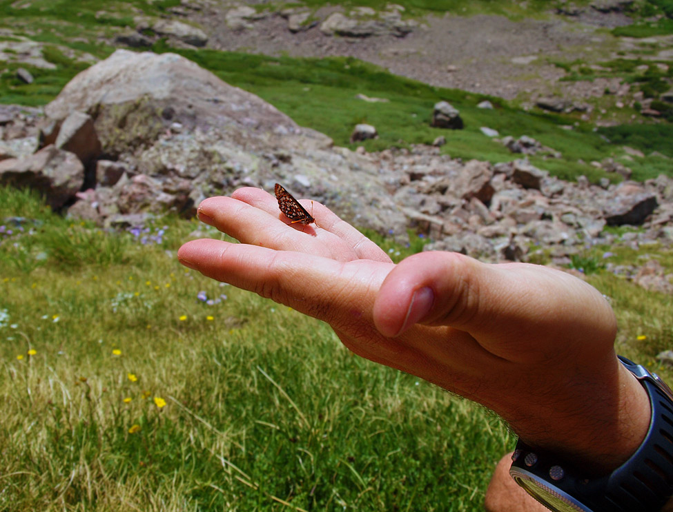 Matt and a Butterfly