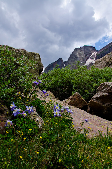 Columbine and Kit Carson Peak