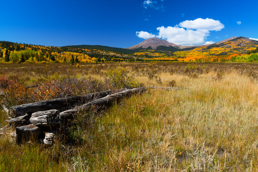 Buffalo Peaks fall colors and old cabin