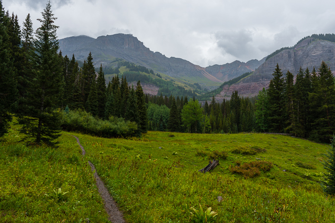 The meadow