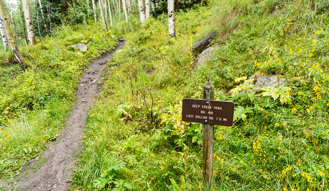 Mill Creek Trail