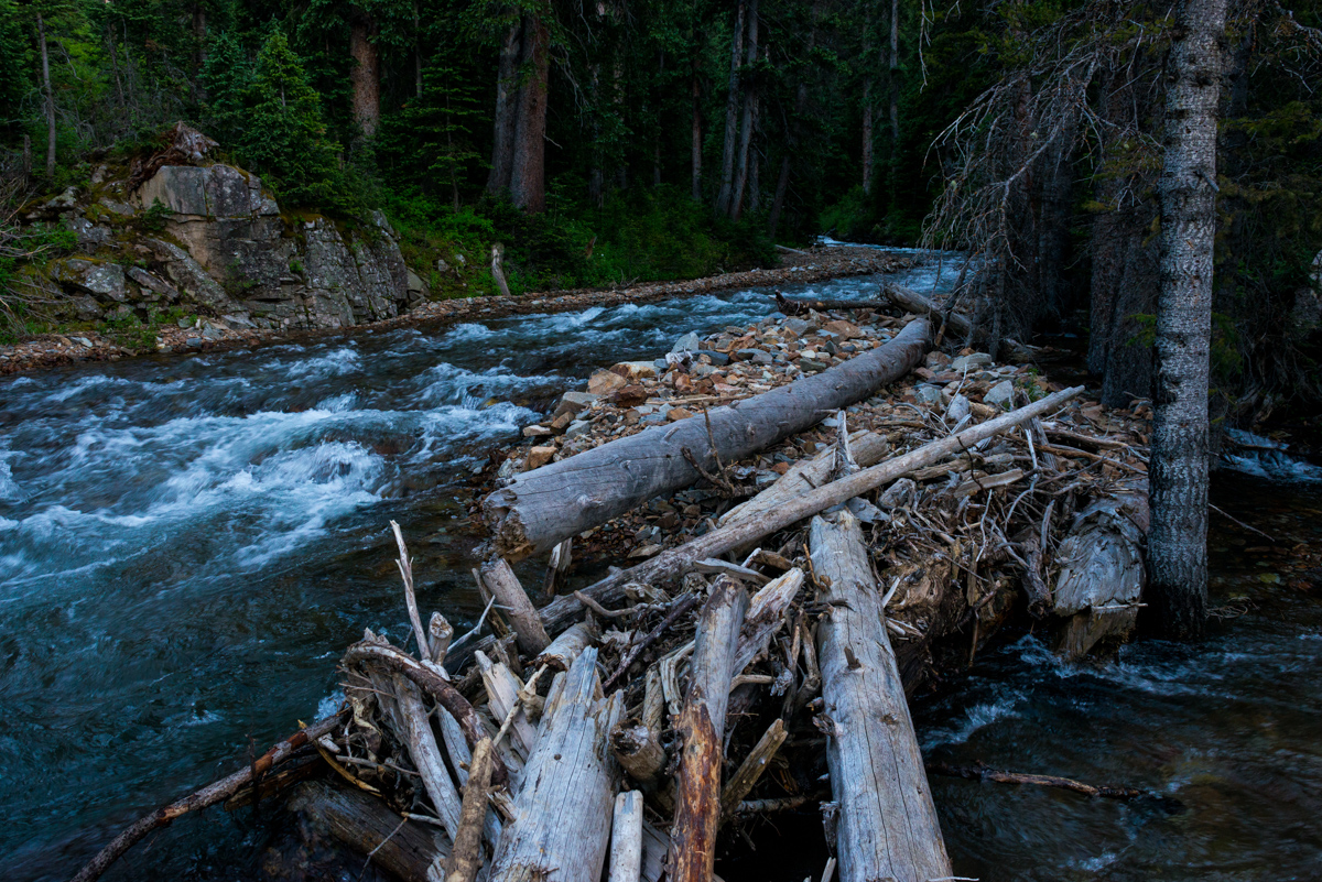 Log crossing