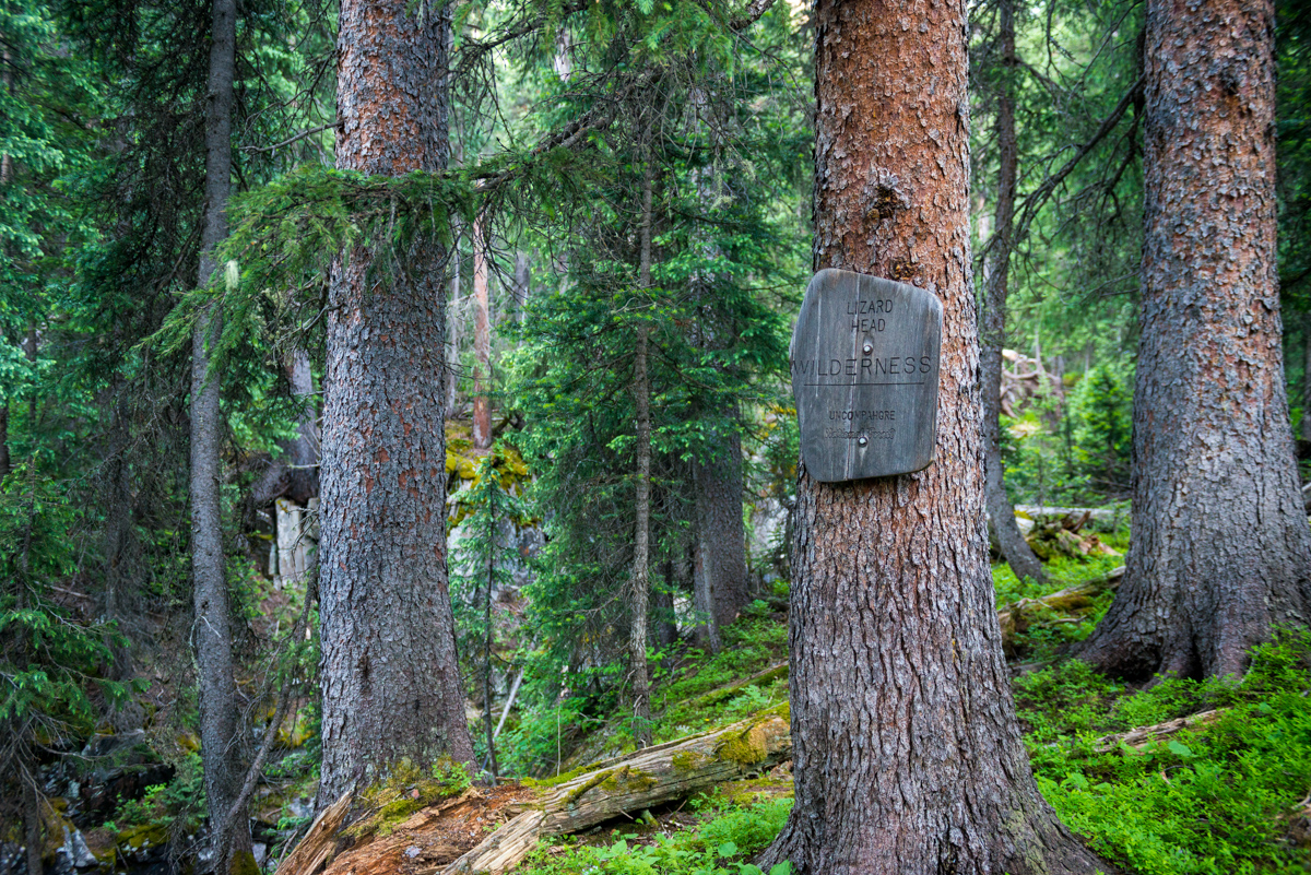 Lizard Head Wilderness