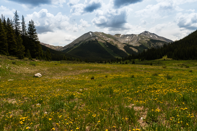 Grizzly Peak from the Lincoln Creek Road