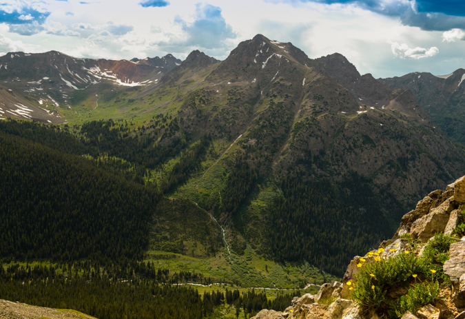 Growth above treeline