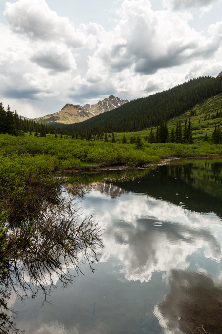 Reflections in a beaver pond