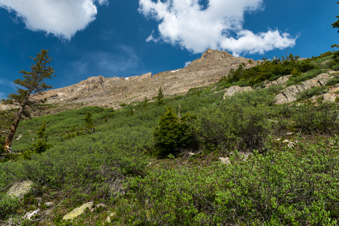 Looking up Grizzly's west gully