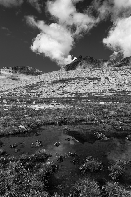 Ice Lake Basin