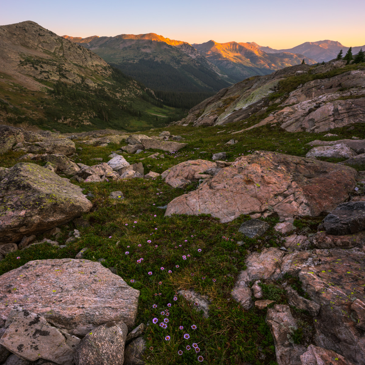 Sunrise in the Sawatch - first light on La Plata Peak