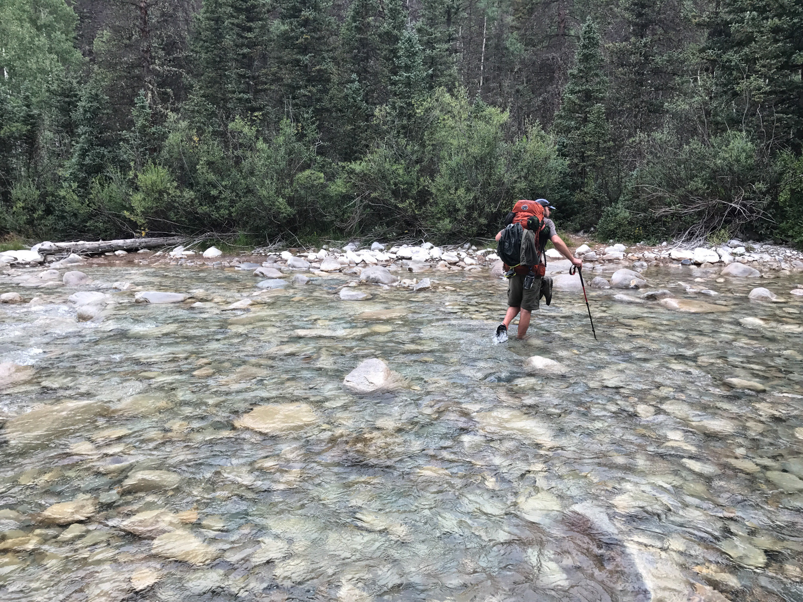 Vallecito Creek Crossing at Sunlight Creek