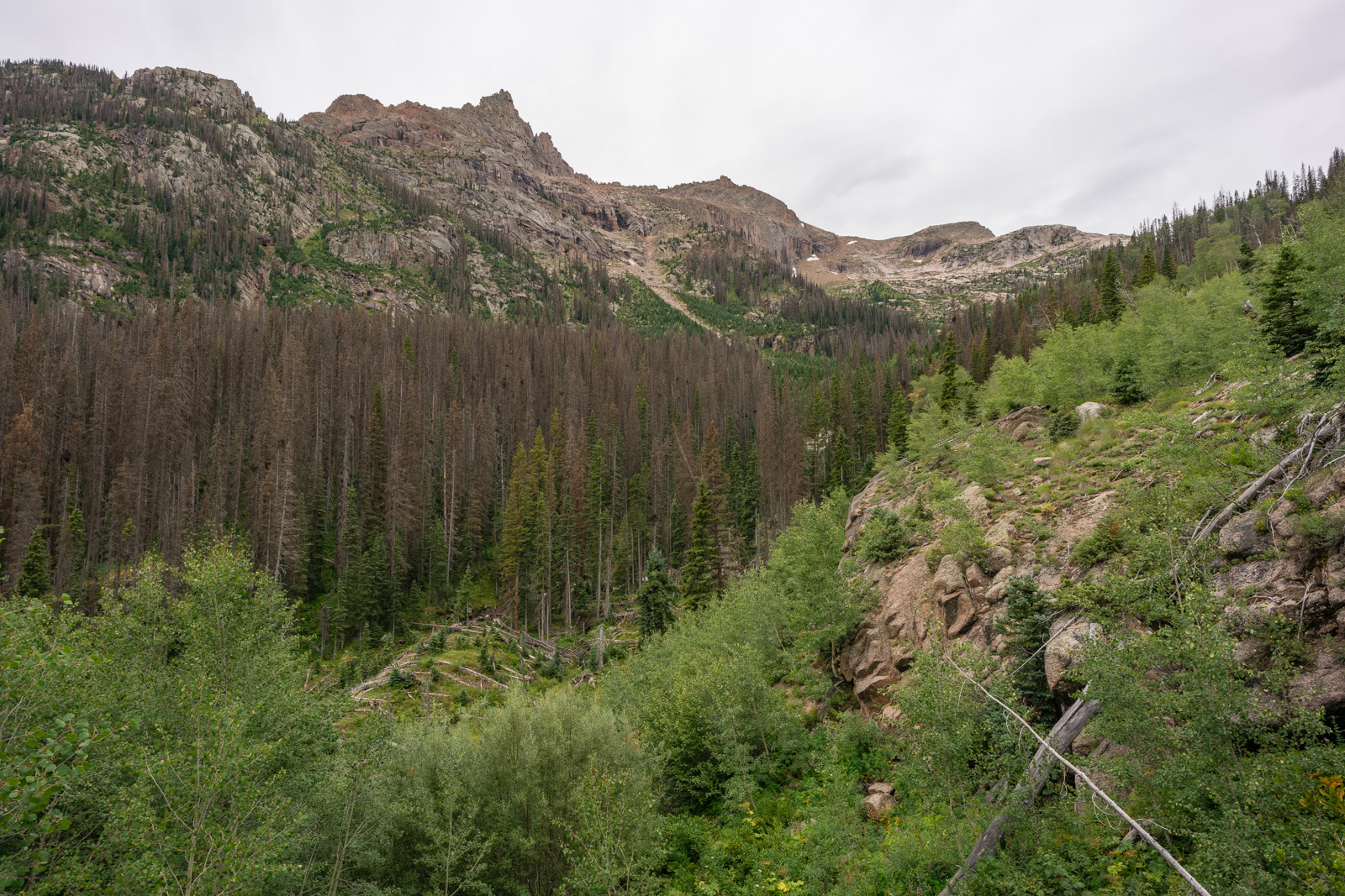 Sunlight Creek trail