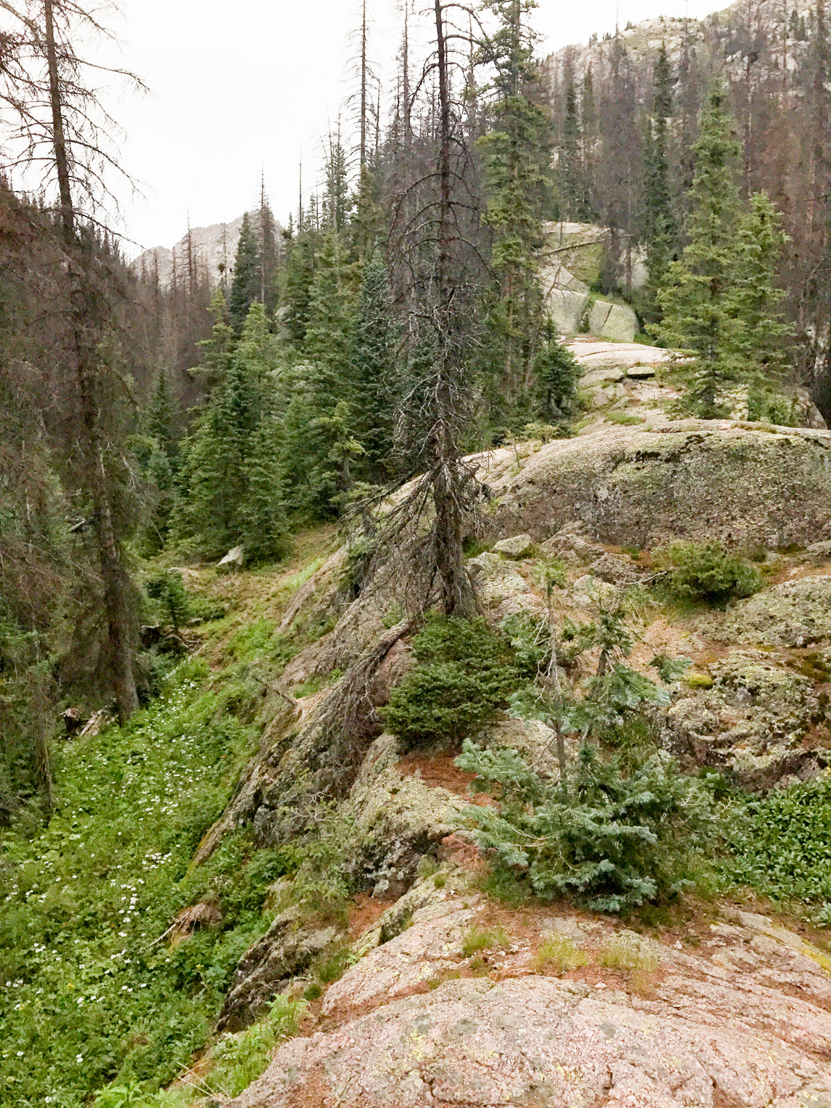 Sunlight Creek trail