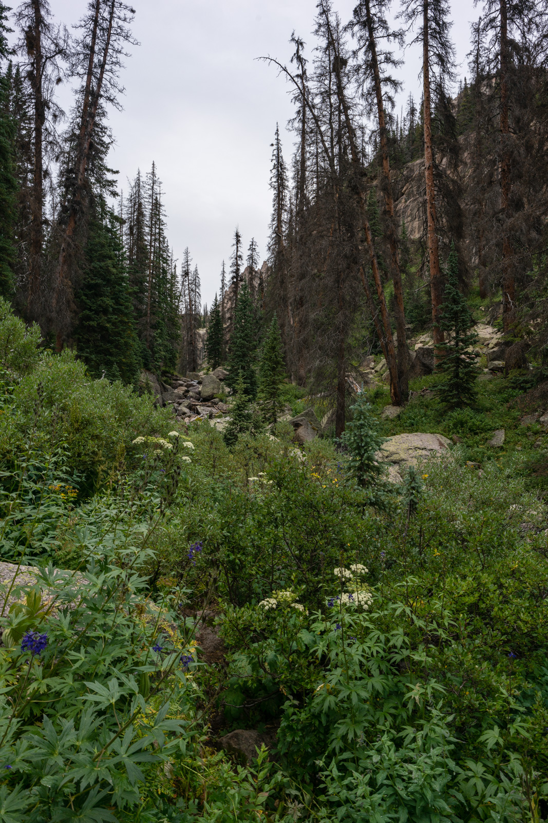 Sunlight Creek trail