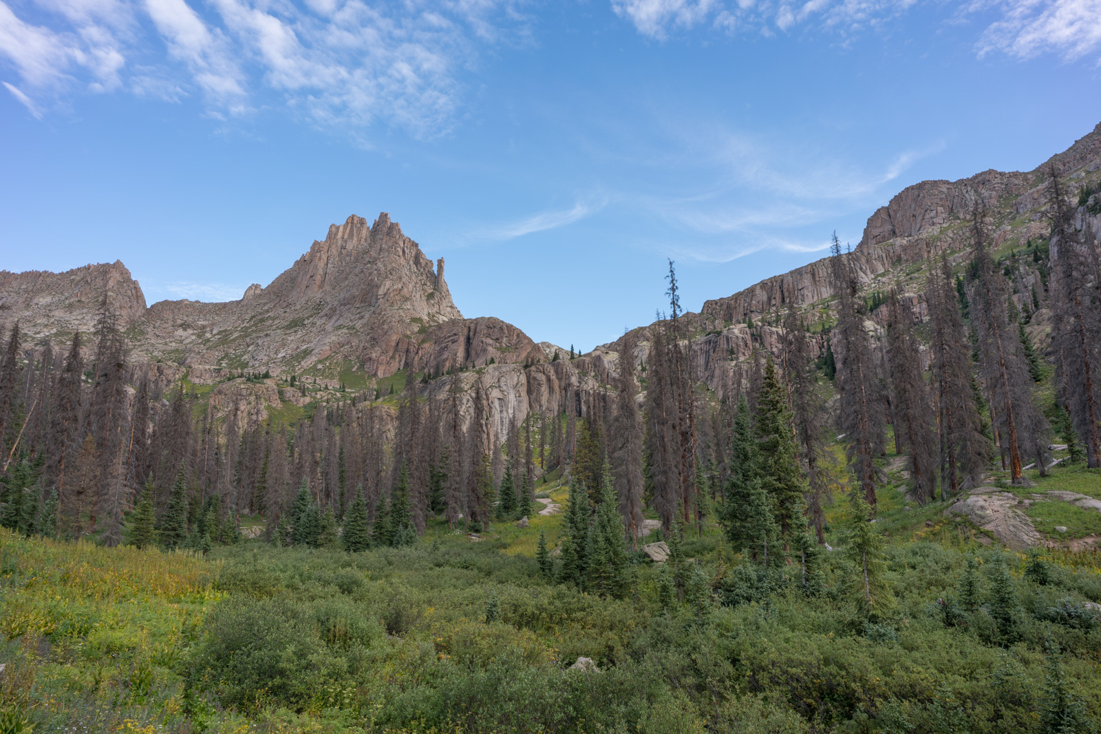 Jagged Mountain