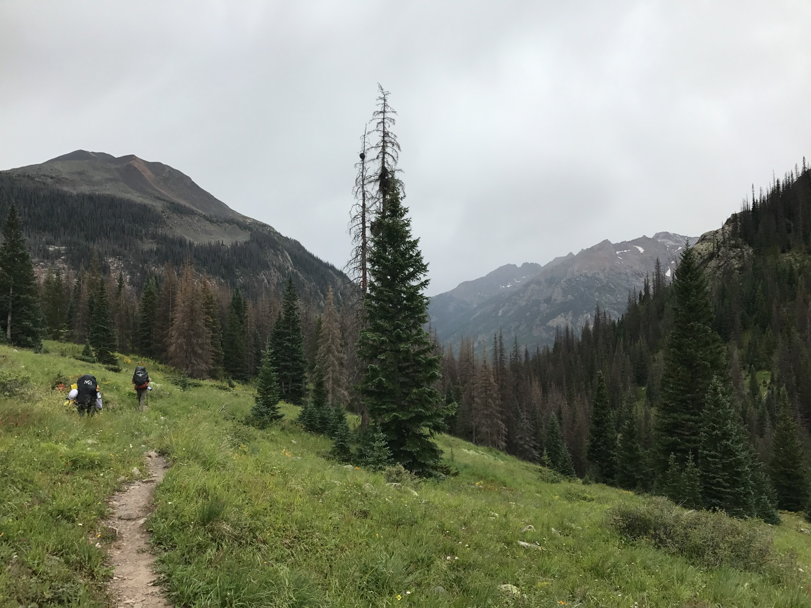 Descending into Vallecito Creek basin