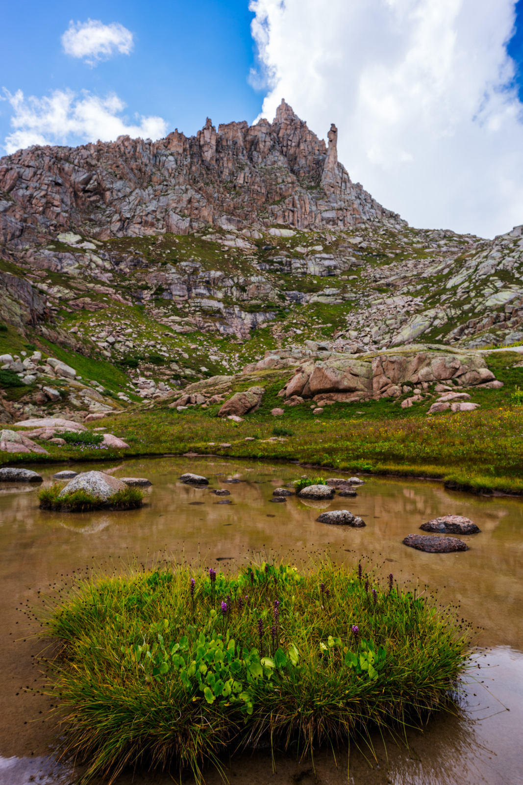 Jagged Mountain