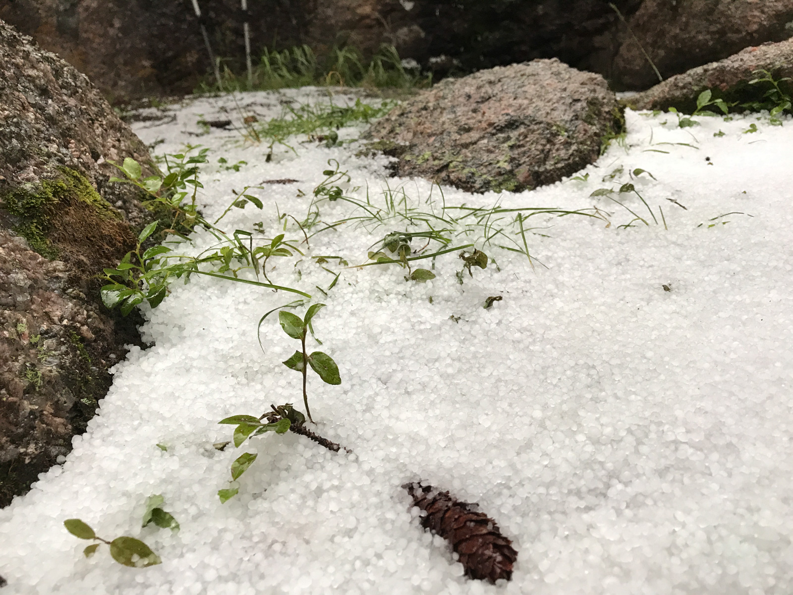 Ice storm outside of tent