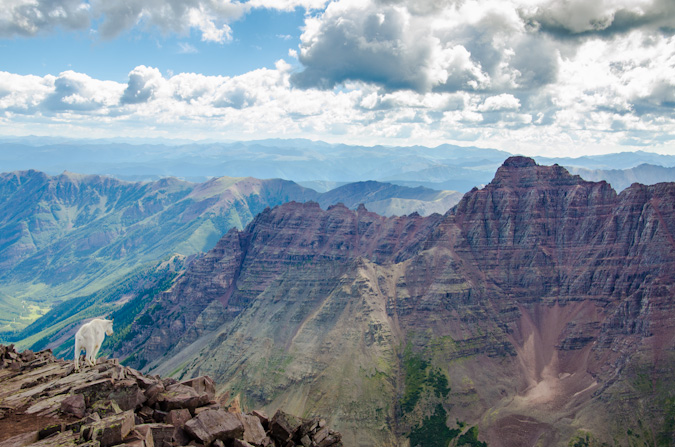 Pyramid Peak and a lonely mountain goat