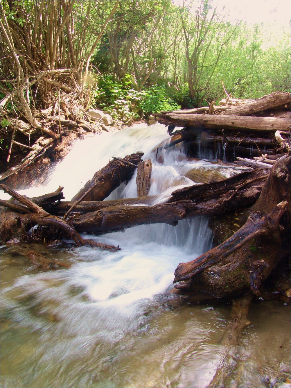 Missouri Gulch