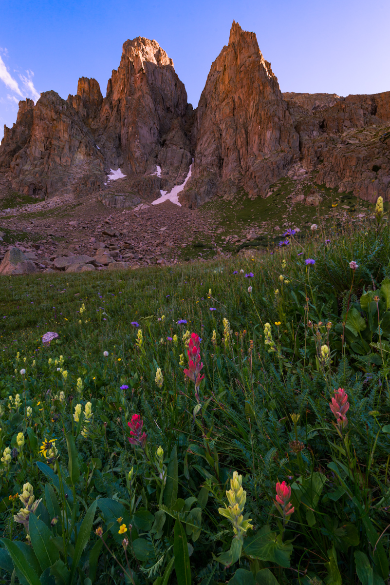 Turret Needles from Ruby Basin