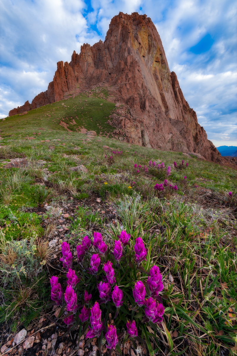 Pigeon Peak and Rosy Paintbrush