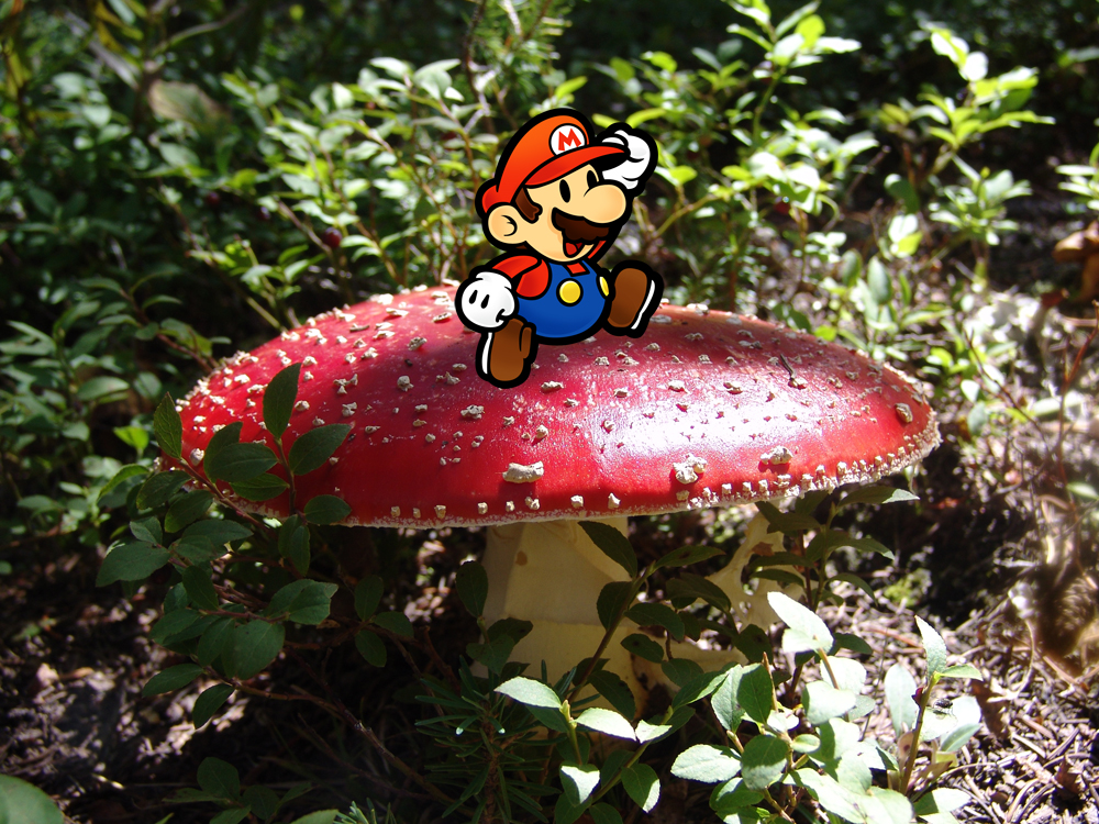 Super Mario Fly Agaric