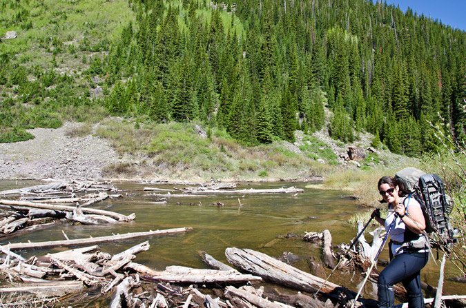 Snowmass Logjam