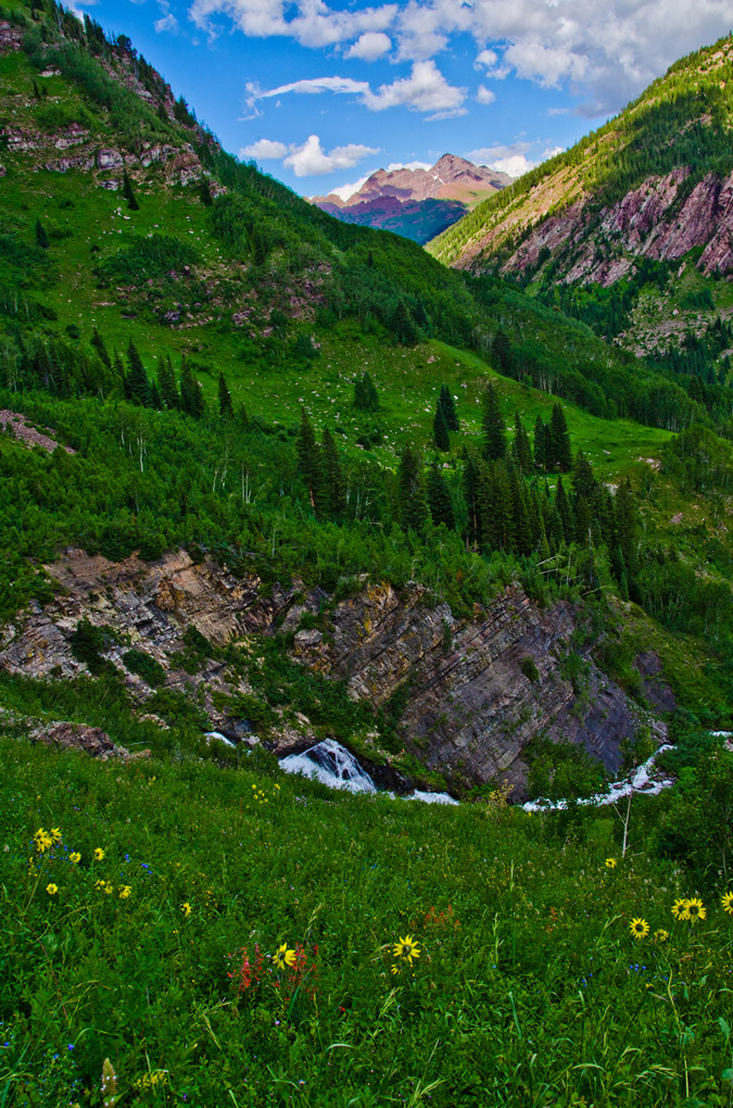 Maroon Bells with Wildflowers