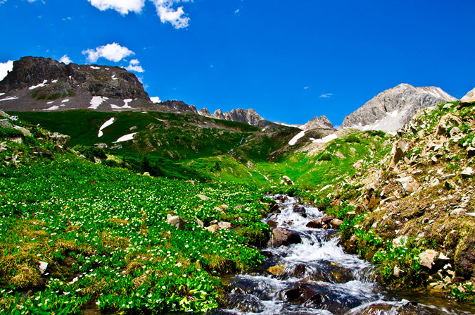 Little Gem Lake creek and flowers