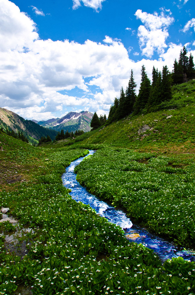 Mountain creek in the Elk Mountains