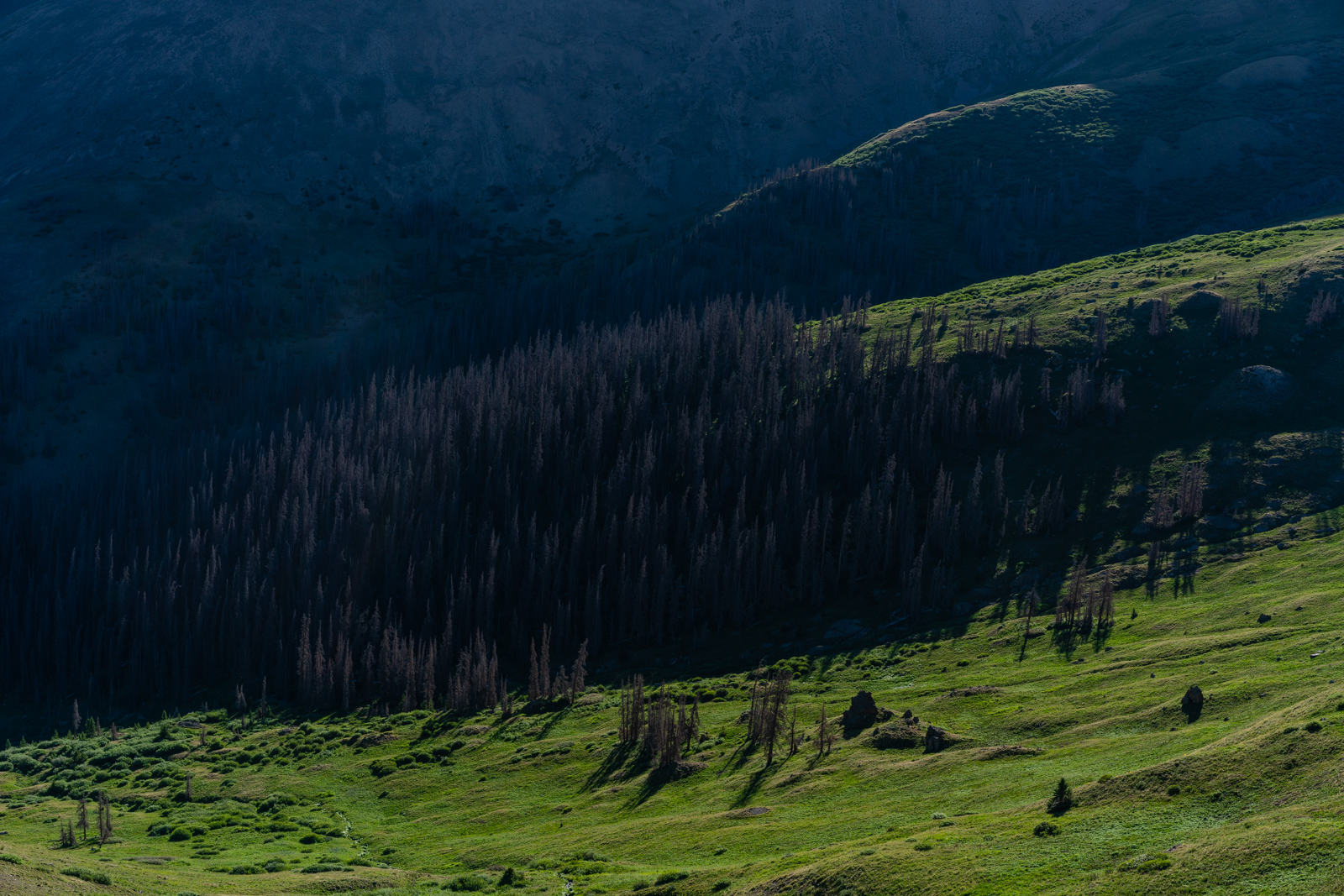 Sunrise on the Colorado Trail