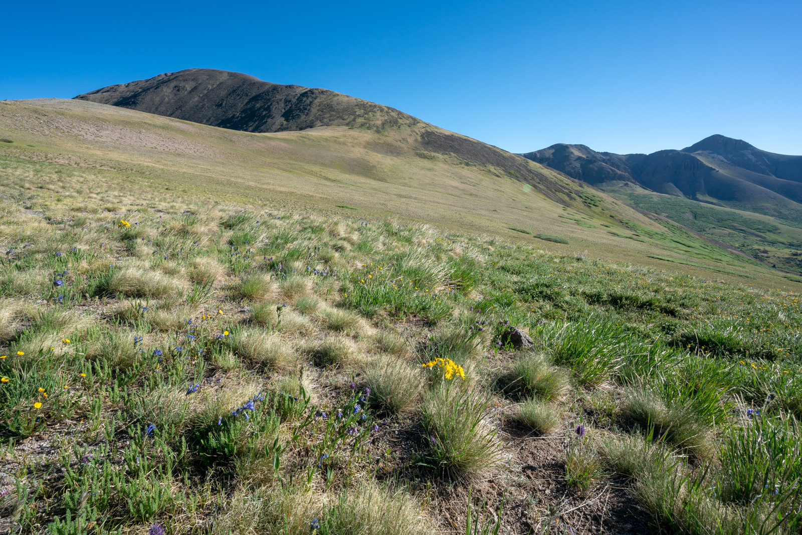 San Luis Peak