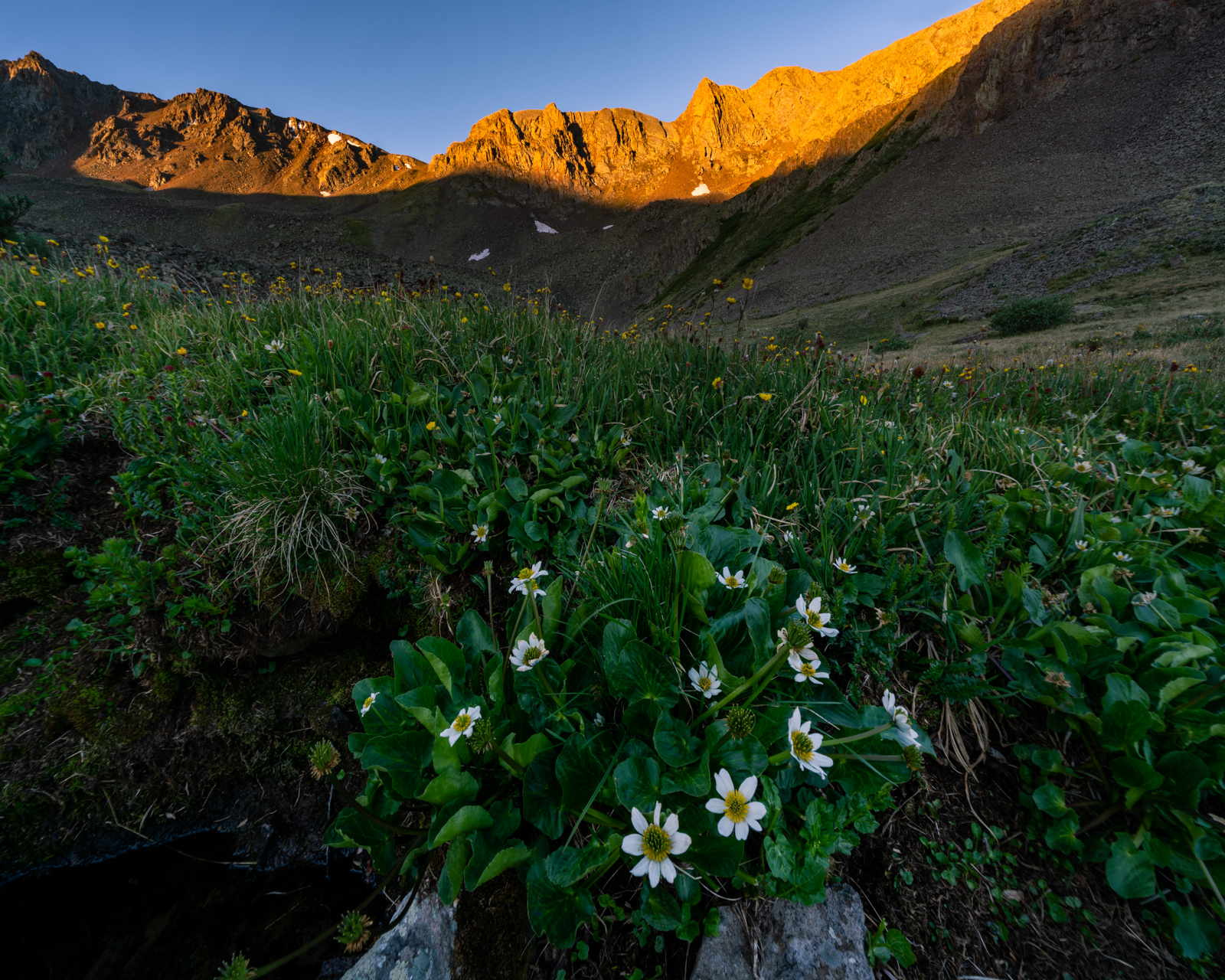 Sunrise in the La Garita Wilderness