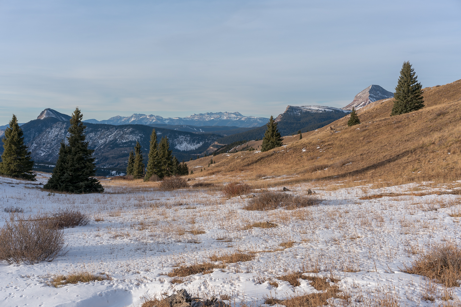 The La Plata Mountains and Engineer