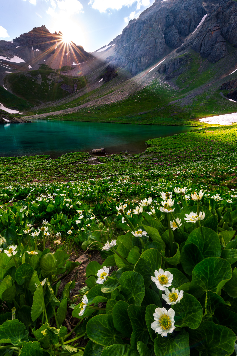 Sunset at Island Lake and wildflowers