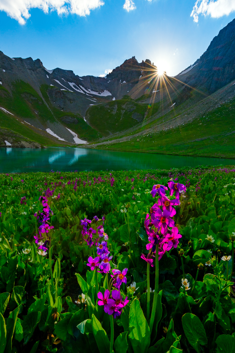 Sunset at Island Lake and Wildflowers