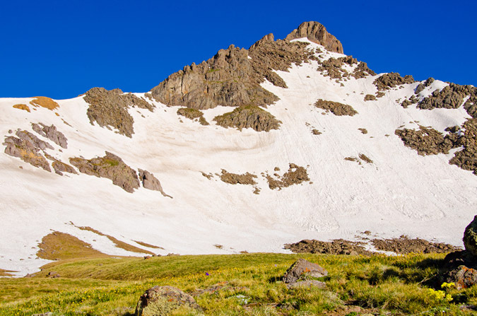 Wetterhorn and Wildflowers